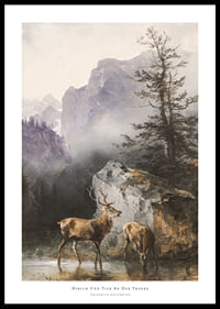 Hirsch Und Tier An Der Tränke By Friedrich Gauermann-0