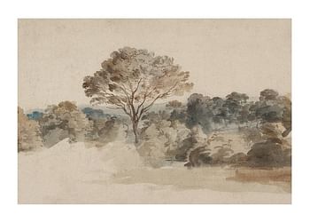 Poster Landscape By Anthony van Dyck