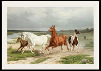 Flyende hästar By Arvid Fredrik Lönnroth-4