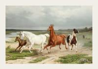 Flyende hästar By Arvid Fredrik Lönnroth-5