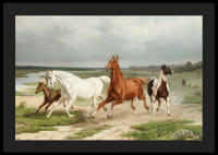 Flyende hästar By Arvid Fredrik Lönnroth-6