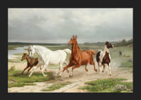 Flyende hästar By Arvid Fredrik Lönnroth-7