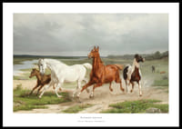 Flyende hästar By Arvid Fredrik Lönnroth-0