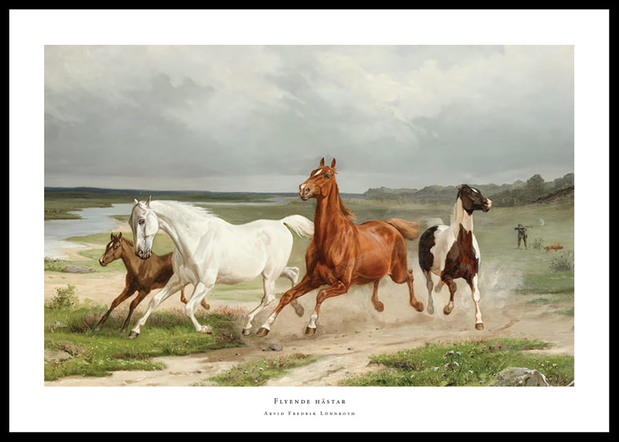 Flyende hästar By Arvid Fredrik Lönnroth-12