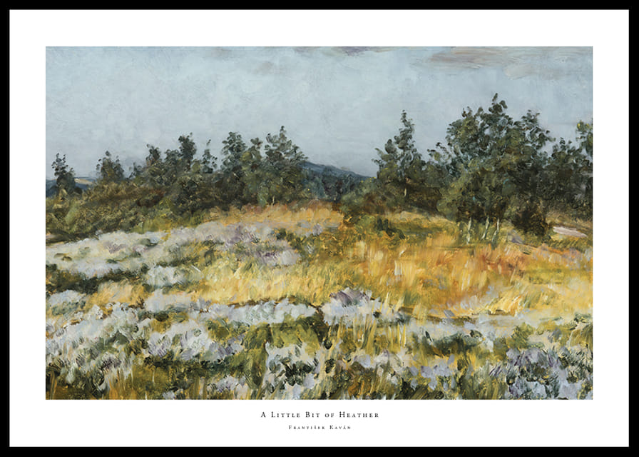 A Little Bit of Heather By František Kaván-12