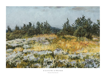 Poster A Little Bit of Heather By František Kaván