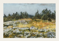 A Little Bit of Heather By František Kaván-5