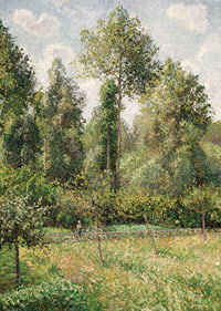 Poplars Éragny By Camille Pissarro-9