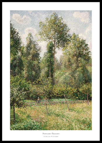Juliste Poplars Éragny By Camille Pissarro
