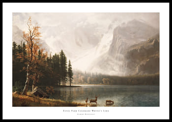 Poster Estes Park Colorado Whyte's Lake By Albert Bierstadt