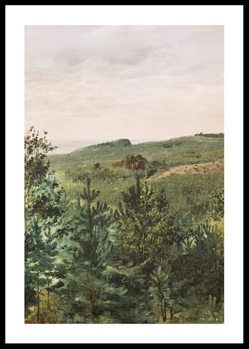 Poster Spruce Saplings in Sandy Soil Study By Werner Holmberg