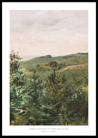 Spruce Saplings in Sandy Soil Study By Werner Holmberg-0