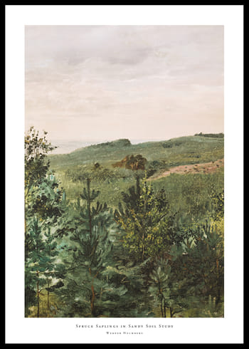 Plakat Spruce Saplings in Sandy Soil Study By Werner Holmberg