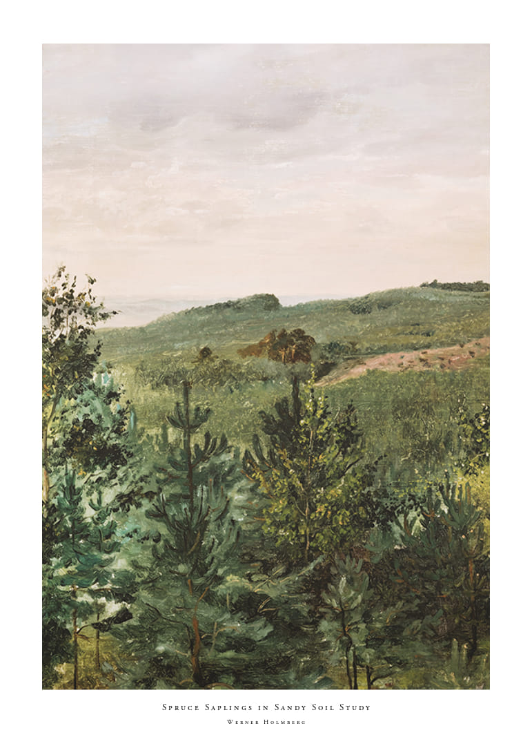 Spruce Saplings in Sandy Soil Study By Werner Holmberg-12