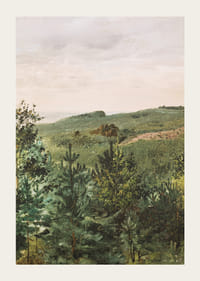 Spruce Saplings in Sandy Soil Study By Werner Holmberg-5