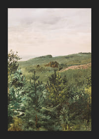 Spruce Saplings in Sandy Soil Study By Werner Holmberg-7