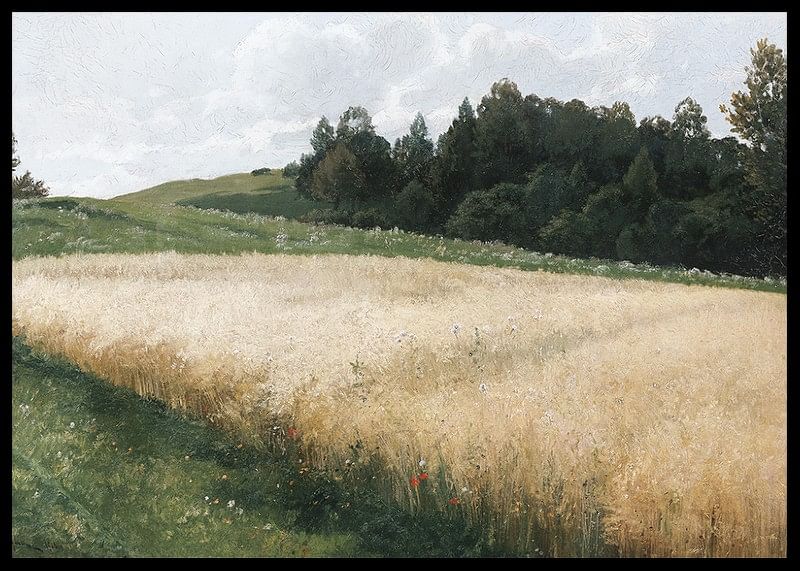 Das Haferfeld By Adolf Kaufmann-12
