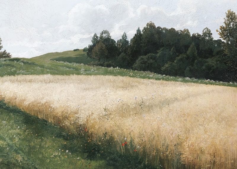 Das Haferfeld By Adolf Kaufmann-12