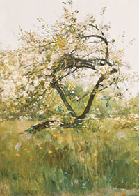 Peach Blossoms Villiers-le-Bel By Childe Hassam-9