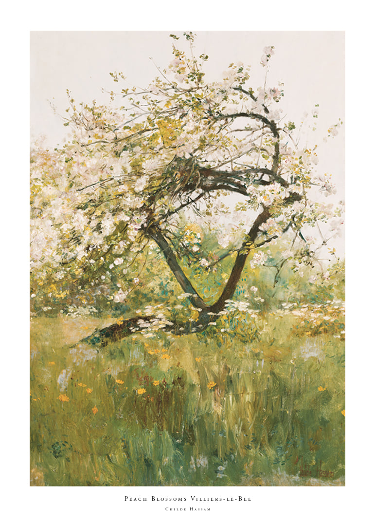 Peach Blossoms Villiers-le-Bel By Childe Hassam-12
