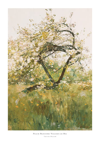 Póster Peach Blossoms Villiers-le-Bel By Childe Hassam
