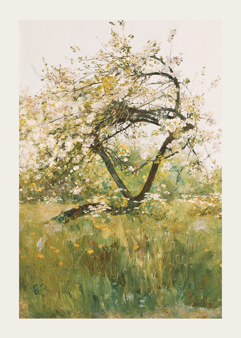 Peach Blossoms Villiers-le-Bel By Childe Hassam-12