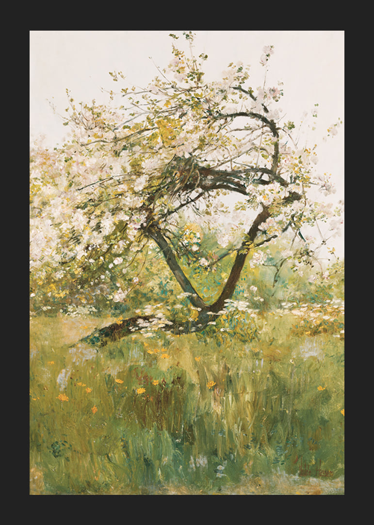 Peach Blossoms Villiers-le-Bel By Childe Hassam-12