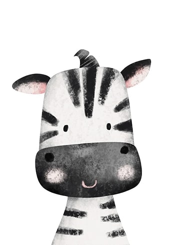 Plakat Zebra Portrait