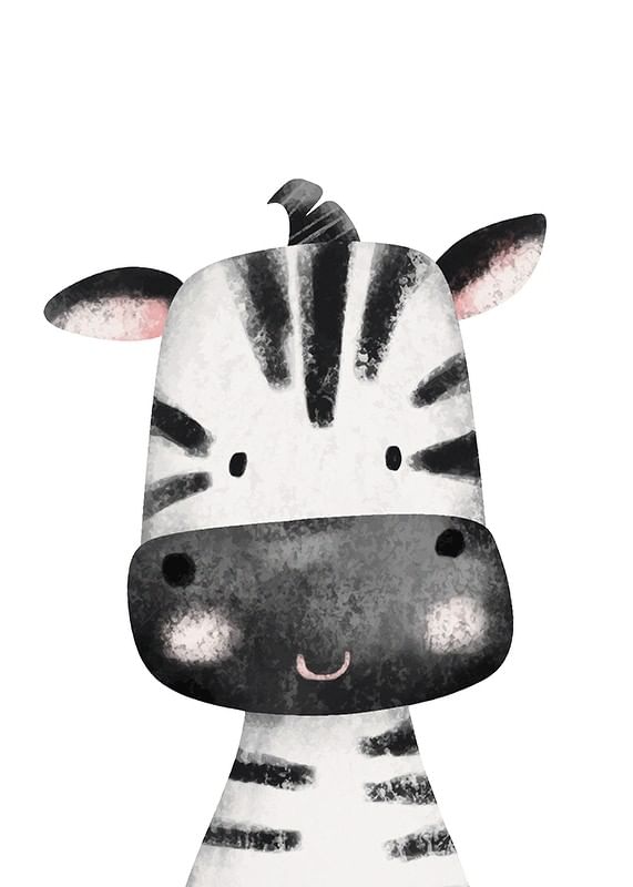 Zebra Portrait-12