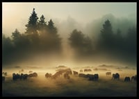 Sheep grazing in morning fog on meadow in front of dark fir trees-6