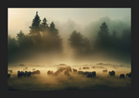Sheep grazing in morning fog on meadow in front of dark fir trees-5