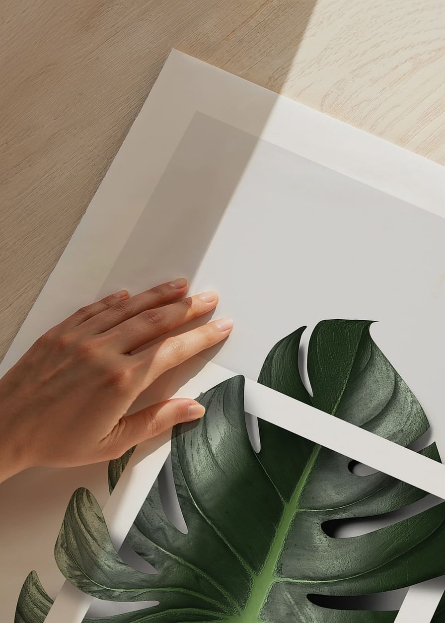 Monstera Boxed-12