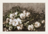 Stilleven Met Gitaar En Rozen By Margaretha Roosenboom-5