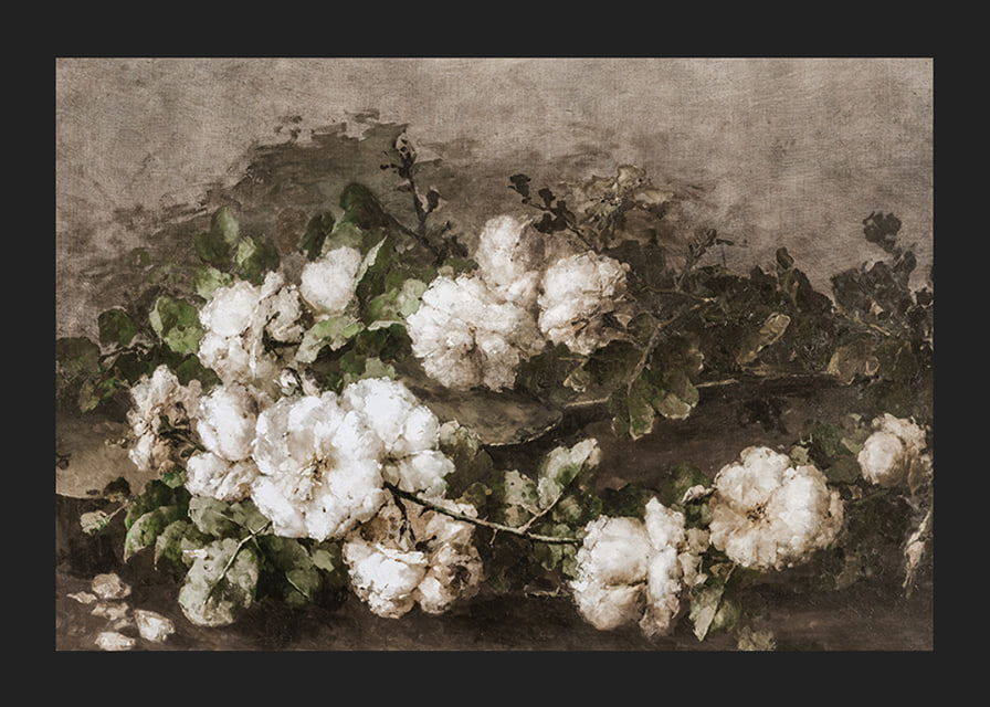 Stilleven Met Gitaar En Rozen By Margaretha Roosenboom-12