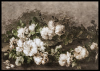 Stilleven Met Gitaar En Rozen By Margaretha Roosenboom-8