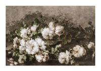 Stilleven Met Gitaar En Rozen By Margaretha Roosenboom-3