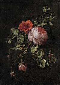 Stilleven Met Rozen By Elias Van Den Broeck-9