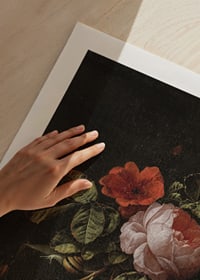 Stilleven Met Rozen By Elias Van Den Broeck-11
