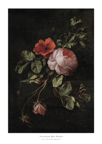 Stilleven Met Rozen By Elias Van Den Broeck-1