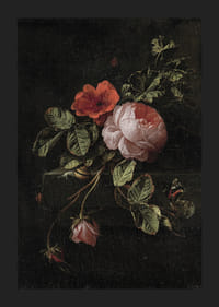 Stilleven Met Rozen By Elias Van Den Broeck-7