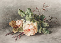 Rozen By Margaretha Roosenboom-9