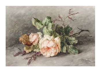 Poster Rozen By Margaretha Roosenboom
