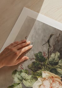 Rozen By Margaretha Roosenboom-11