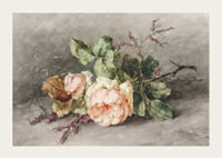 Rozen By Margaretha Roosenboom-5