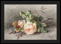 Rozen By Margaretha Roosenboom-6