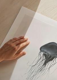 Silhuett av man som håller en svävande manet i dimma-9