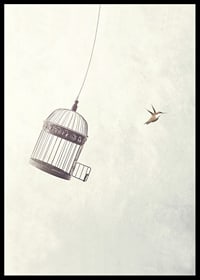 Illustration av fågel som flyger från öppen bur mot ljus bakgrund-6