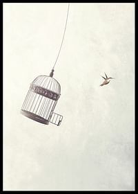 Flying Towards Freedom-2