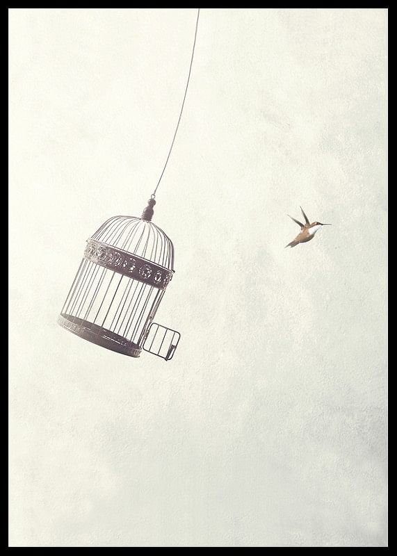 Flying Towards Freedom-12