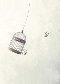 Illustration av fågel som flyger från öppen bur mot ljus bakgrund-7